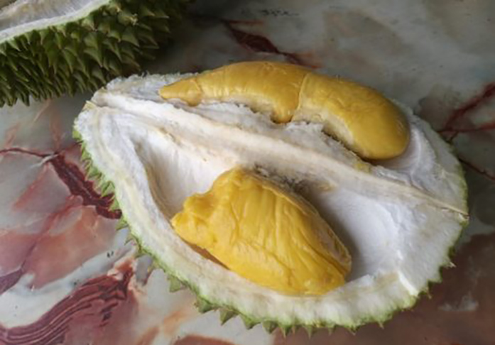 blog-kl-04 blog-kl-04