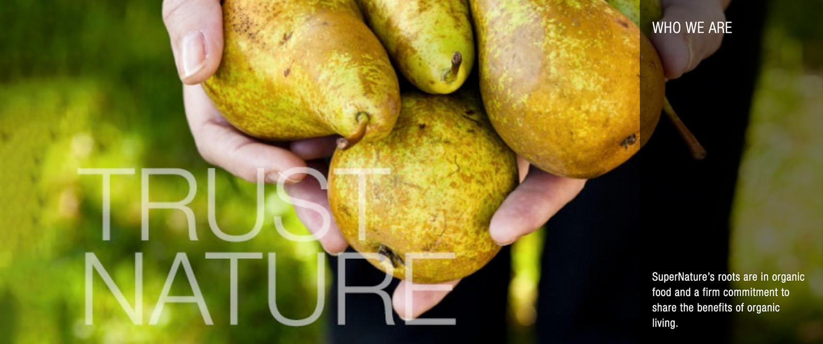 1600x670_Supernature_2